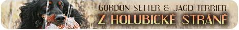 Banner gordon setter z Holubické stráně